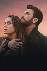 The Family poster