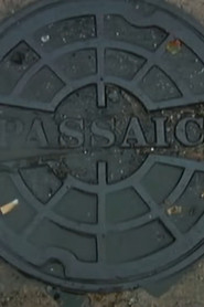 Passaic Mosaic (2008)