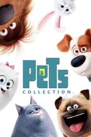 The Secret Life of Pets Collection streaming