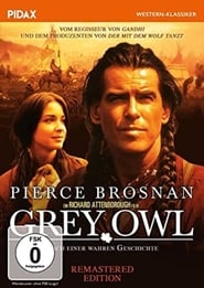 Poster Grey Owl