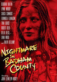 Nightmare in Badham County постер