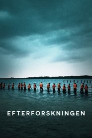 Efterforskningen (2020)