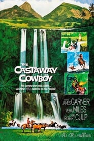 The Castaway Cowboy постер