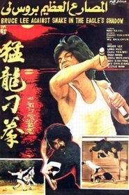 Poster 海女