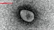 Japan to Downgrade COVID Classification on May 8
