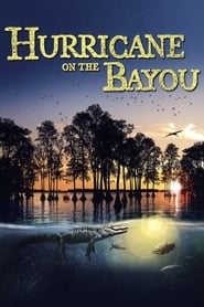 Hurricane on the Bayou постер