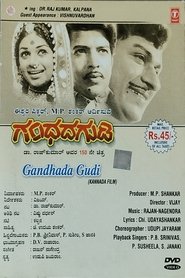 Gandhada Gudi (1973)