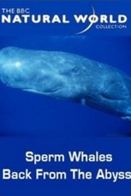 Poster Sperm Whales: Back from the Abyss