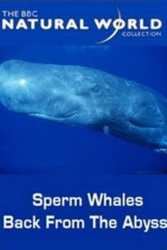 Sperm Whales: Back from the Abyss (1996)