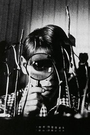 Vinaya poster