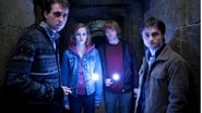 Imagen 18 Harry Potter y las reliquias de la muerte 2 (Harry Potter and the Deathly Hallows: Part 2)
