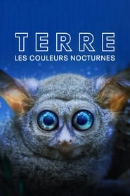 Terre : les couleurs nocturnes streaming