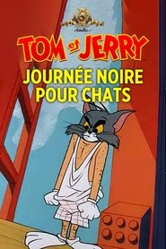 Journée noire pour chats