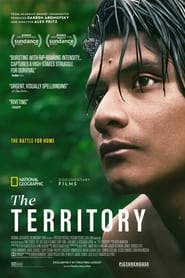 The Territory постер