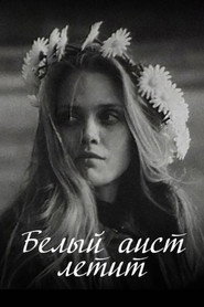 Белы бусел ляціць