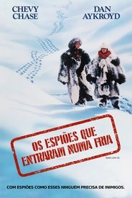 Os Espiões que Entraram numa Fria (1985)