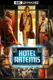 Готель «Артеміда» постер