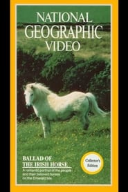 Ballad of the Irish Horse (1985)