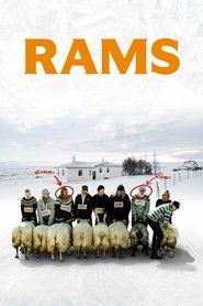 Rams