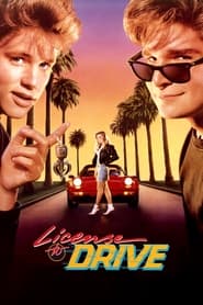 Poster License to Drive 1988