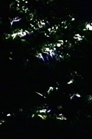 Poster The Darkening 2000