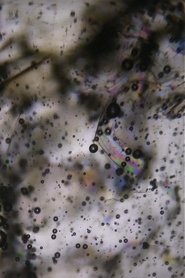 Breaking Point (2019)