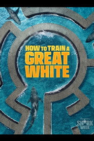 How to Train a Great White