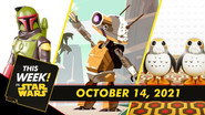 Galaxy of Creatures, Bring Home the Bounty, and More! still