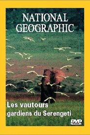 Poster National Geographic : Les Vautours, gardiens du Serengeti 1970