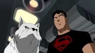 Young Justice - Episode 1x22