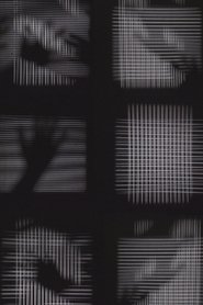 Poster Inside the Machine 2017