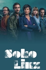 Poster SOKO Linz - Season 3 Episode 2 : Die blinde Zeugin 2024