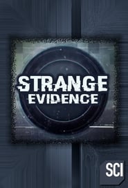 Strange Evidence постер