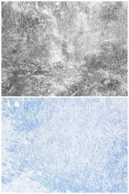 As If I Were Remembering (2023)