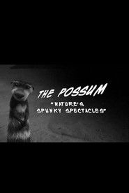 The Possum "Nature's Spunky Spectacles"