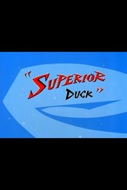 Superior Duck