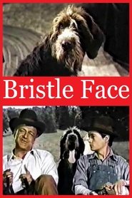 Poster Bristle Face