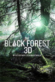 The Black Forest - Mystischer Schwarzwald