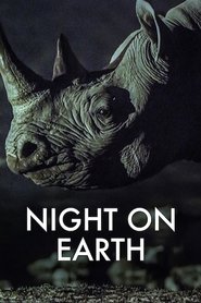 Night on Earth (2020) Night on Earth (2020)