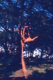 Poster FFFTCM 1967 Poster FFFTCM 1967