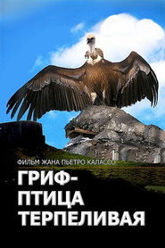 L'avvoltoio pu&ograve; attendere (1991)