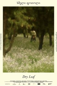 Dry Leaf 2025 Δωρεάν απεριόριστη πρόσβαση