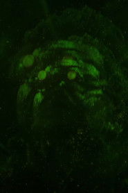 Hurry Up Tomorrow - Short Film | Complex Cover