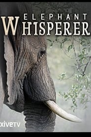 Elephant Whisperer streaming