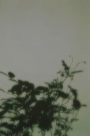in the forest of shadows