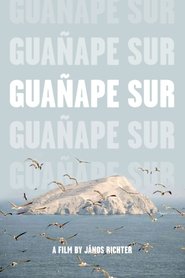 Poster Guañape sur 2011
