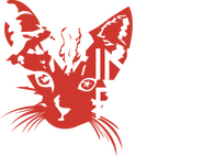 Indie Film as