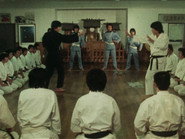 A Formidable Enemy Appears! The Sincere Shaolin Fist is Defeated
