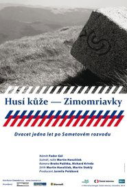 Husí kůže – Zimomriavky (2014)