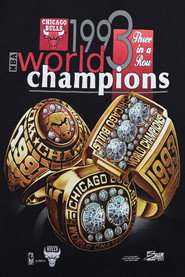 The 1993 NBA Finals (1993)